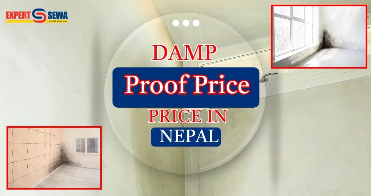 Damp Proof Price in Nepal (2026) | Asian Paints, Berger, Dr. Fixit & More