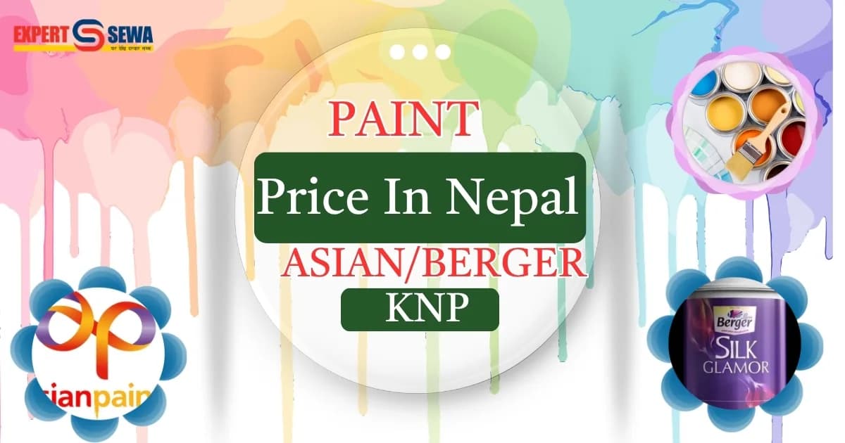 Paint Prices in Nepal 2026: Comparison of Asian, Berger, and KNP Japan