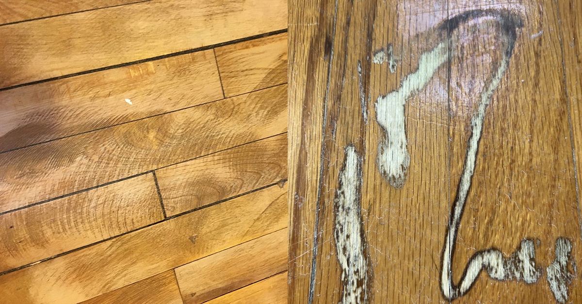 Do you have mystery marks in your wood floors? | The Hardwood Flooring  Experts | Petes Hardwood Floors